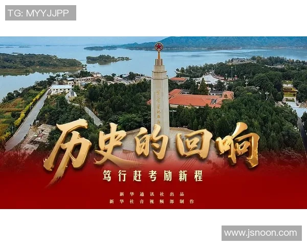 苏维与陆军的较量：历史的回响与未来的展望